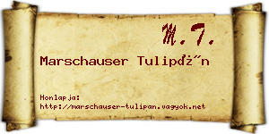 Marschauser Tulipán névjegykártya